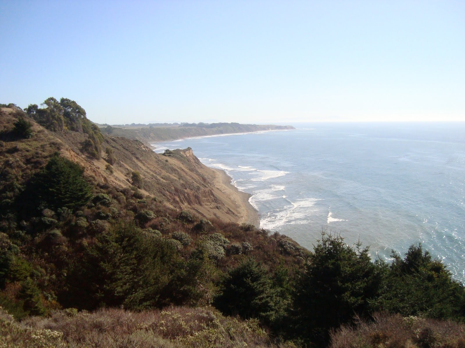 Flora in Wonderland Bolinas, California