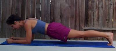 [plank1.jpg]