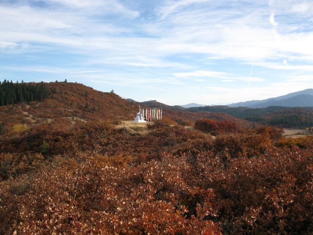 [IMG_0244.jpg]