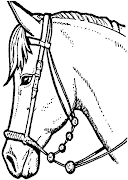 Dibujos para Niños (cheval portrait de mustang)