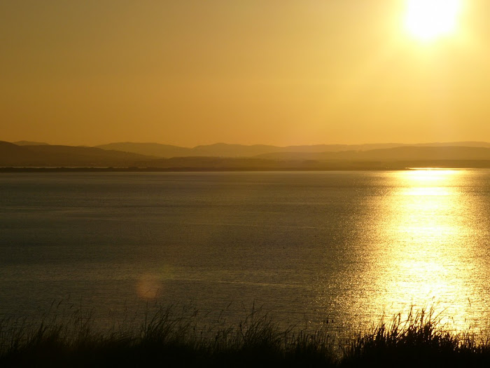 St Andrews Bay