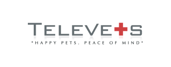 Online Pet Questions and Pet Health Articles