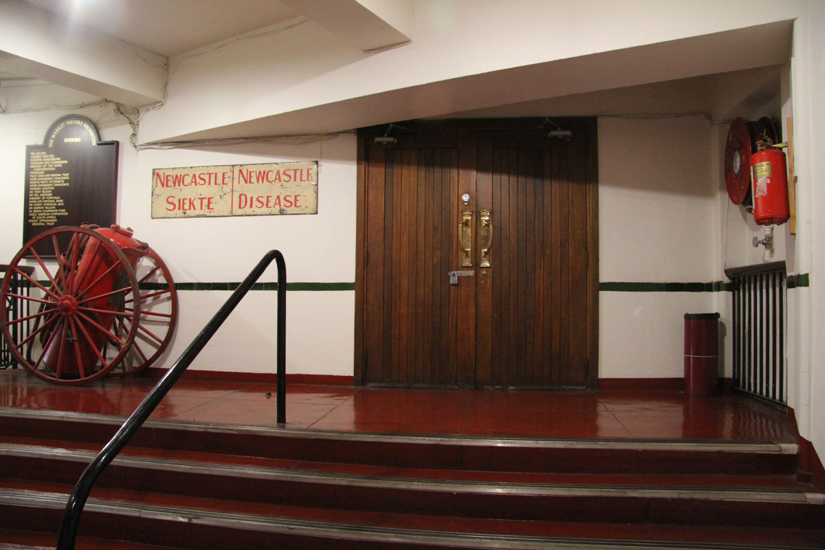 World by Design The Market Theatre, Johannesburg