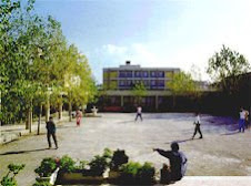 Our School