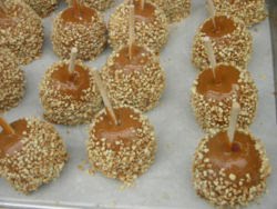 [250px-Caramel_Peanut_Candy_Apples_2592px.jpg]