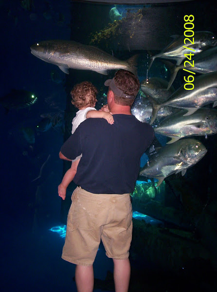 Texas State Aquarium