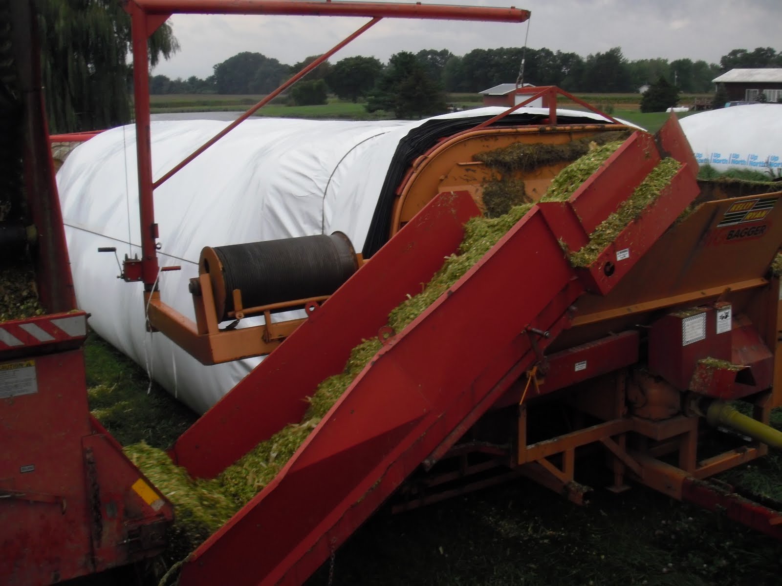 Milligan Dairy Farm More Silage