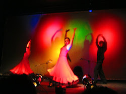 Flamenco 2010