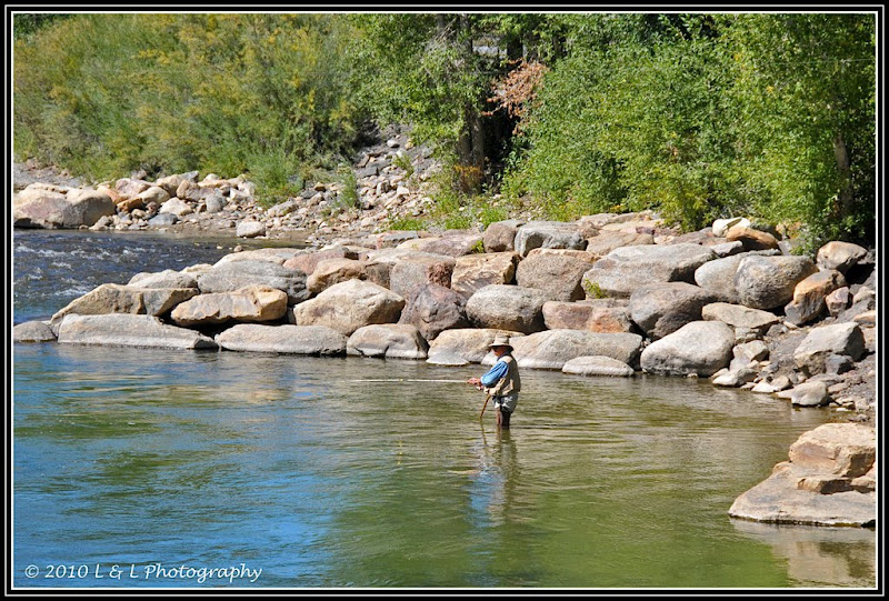 Colorado in Color Fly fishing, Arkansas River, Salida, Colorado