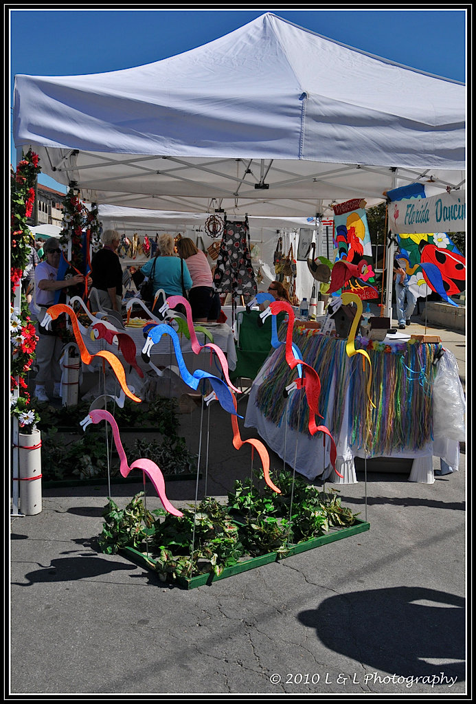 Cedar Key (Florida) Photos Flamingoes on the run at the Seafood Festival
