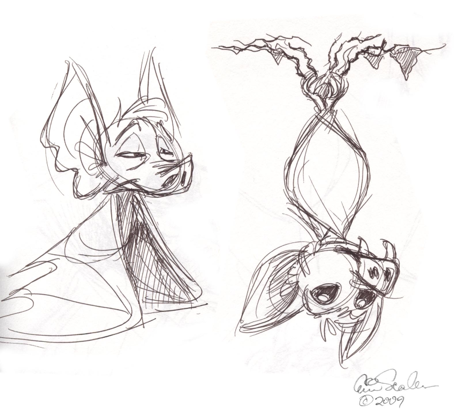 [bats.jpg]