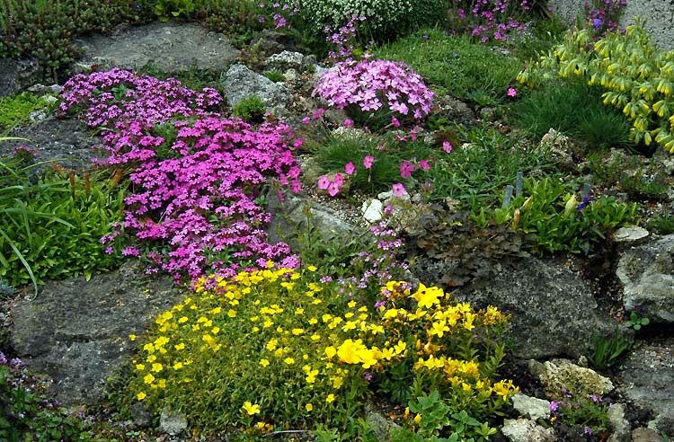 Rock gardens present the