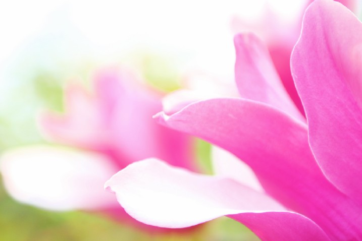 Tra Sogni E Realta Lettera Di Una Nonna A Sua Nipote