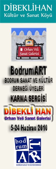 5-24 HAZİRAN 2010 DİBEKLİ HAN ORHAN VELİ SANAT GALERİSİ