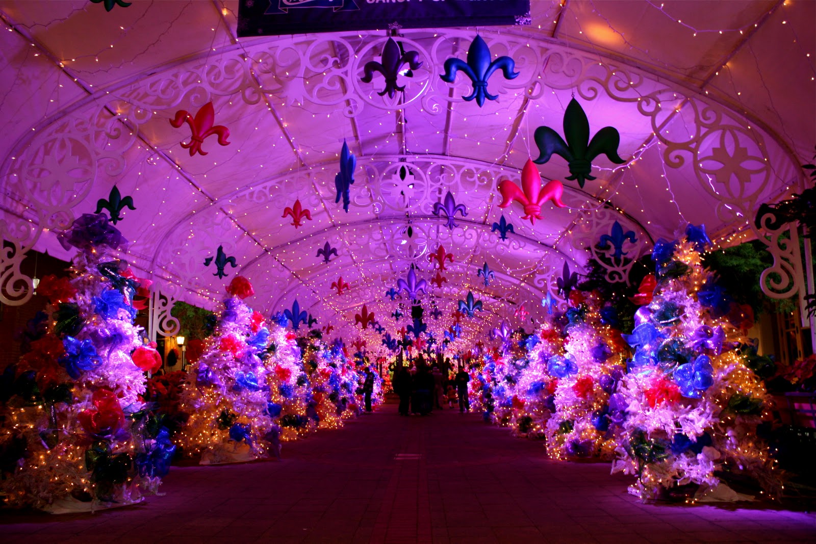 New Orleans Christmas Dutch for Dummies