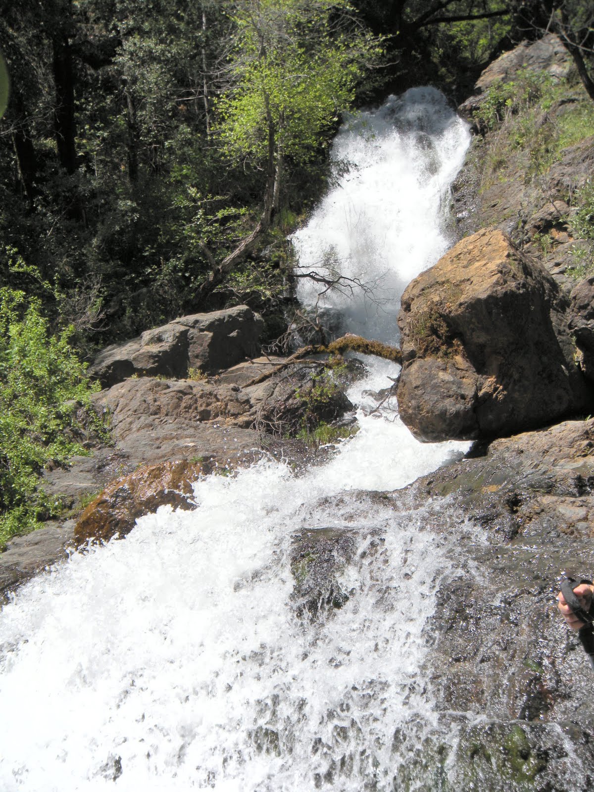 Codfish Creek Falls