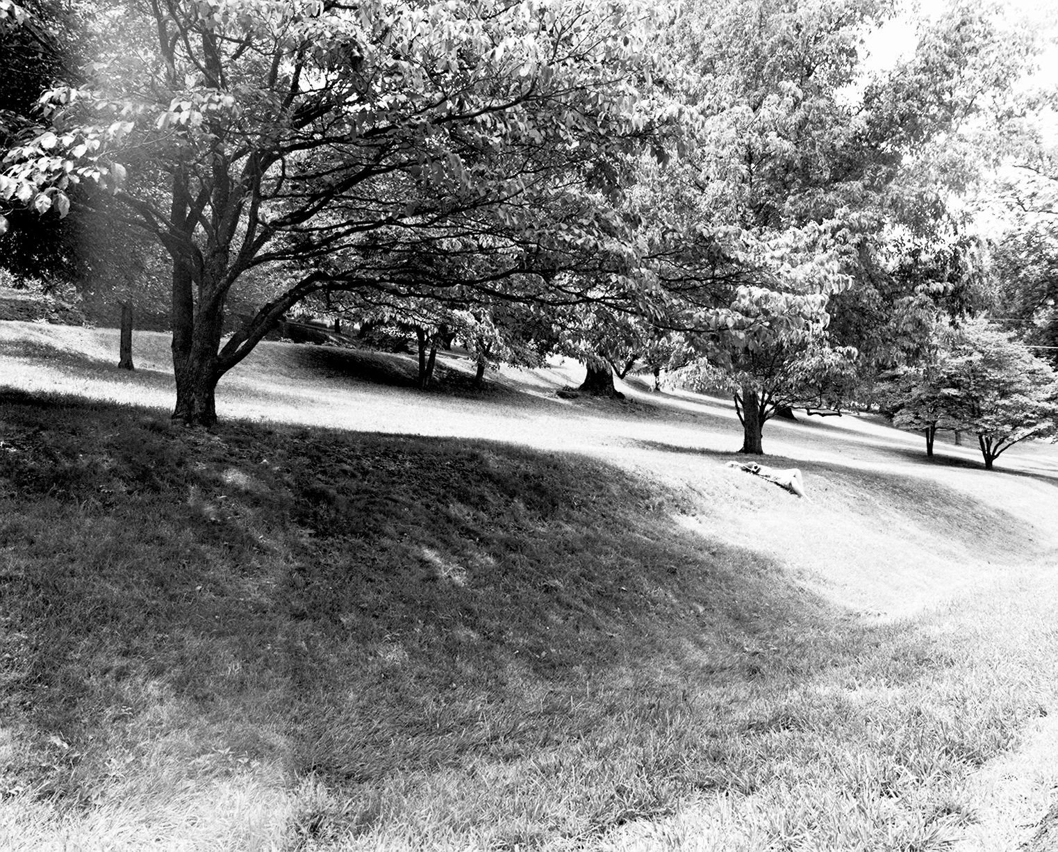 [4149STN-R01-003.Jpg]