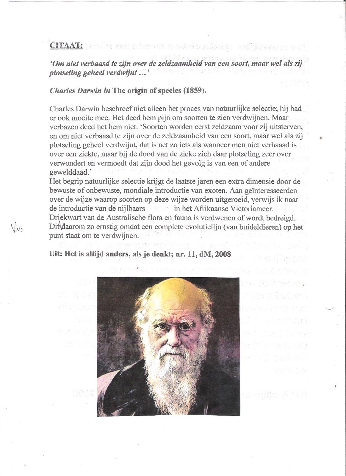 De Bazuin December 2013