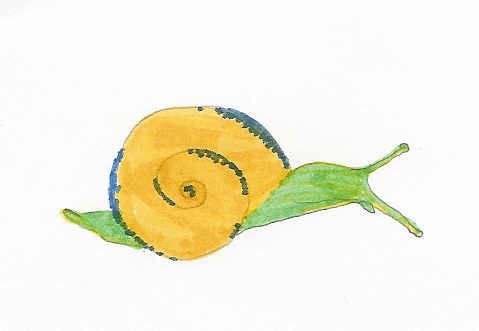 Mollusca: Vocabulary