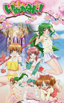 The Second Opinion Inukami Review