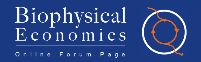 Biophysical Economics