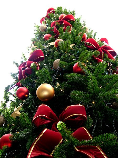 [natal.jpg]