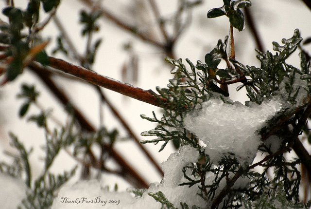 [DSC_0140.JPG]
