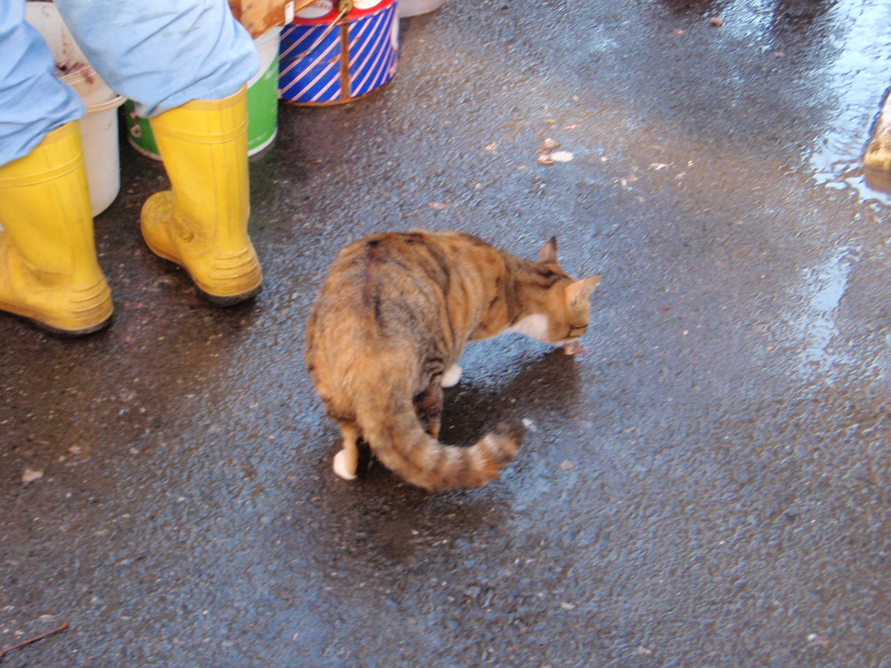 [PC301532.JPG]
