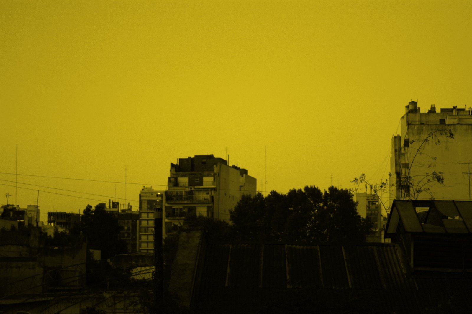 [edificio.jpg]