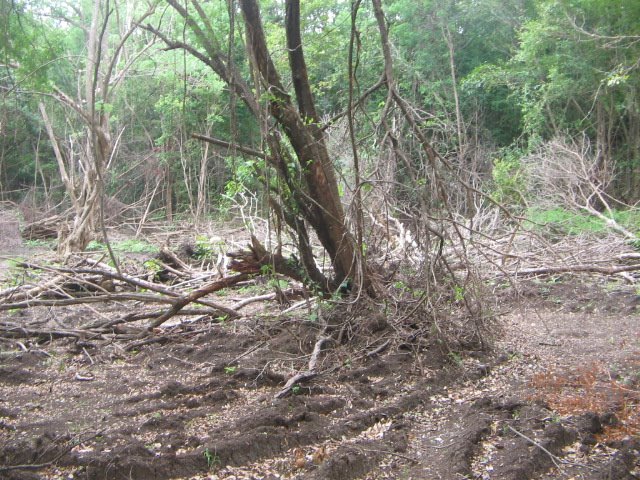 [IMG_1008.JPG]