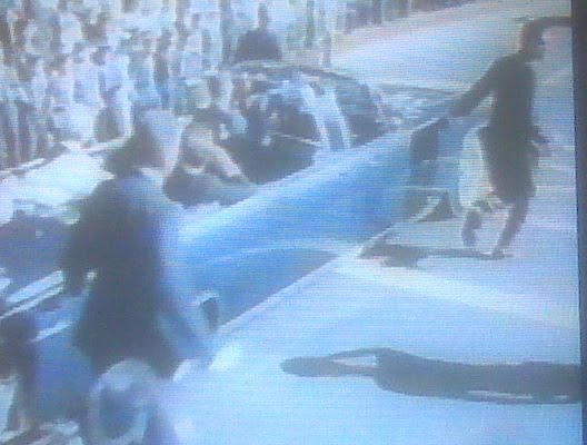 Agents RUNNING with limo, June 1963, Hawaii