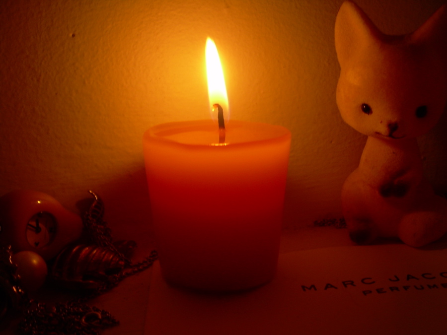 [candlefox3.jpg]