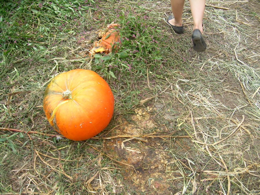 [appleday2.jpg]