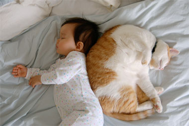 [0902-baby-and-cat_sm01.jpg]