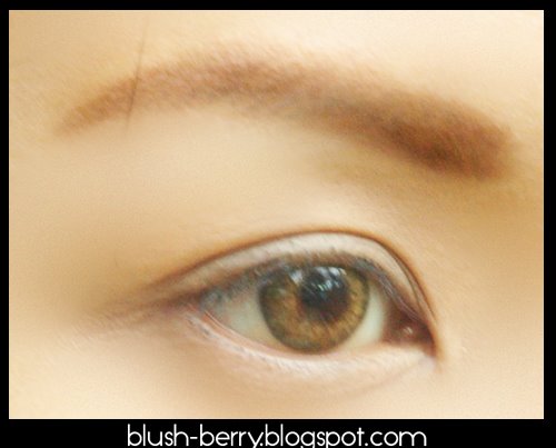 [03_brow1.jpg]