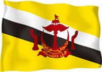 RISE MY FLAG !!