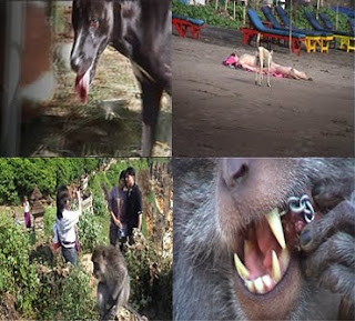 ABIANBASE VILLAGE: Rabies Diagnosis Dan Tatalaksana