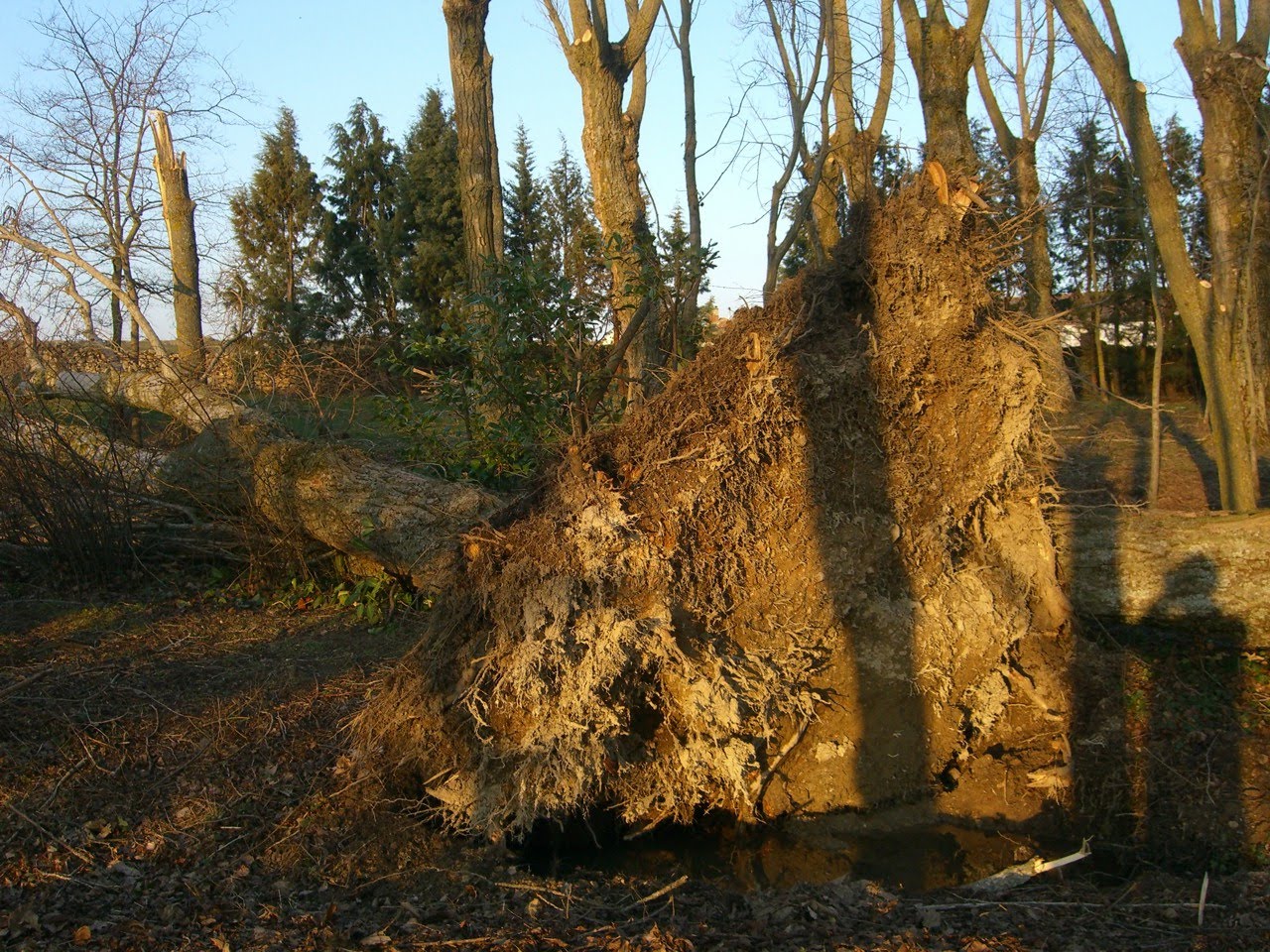 [CIMG9622.jpg]