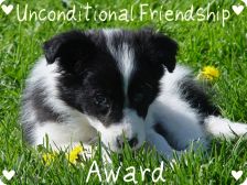 [Unconditional+Friendship+Award.jpg]