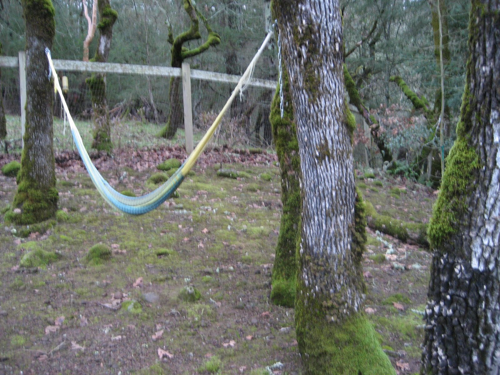 [Moss+009.JPG]