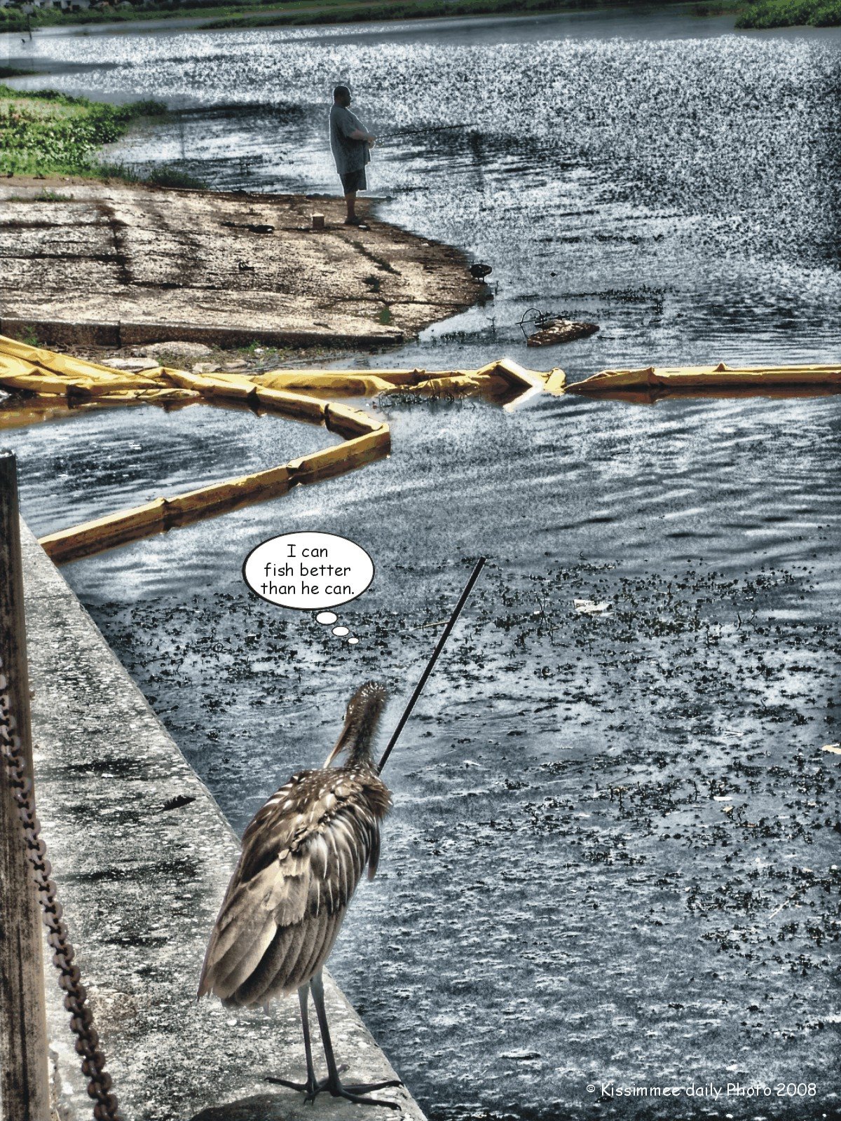 [Fishing_Limpkin.jpg]