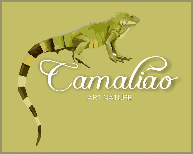 Camalião objetos de arte