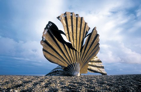 [shell.jpg]