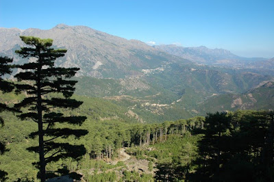 Col de Vizzavona
