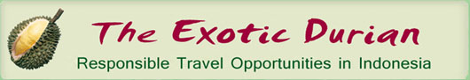 The Exotic Durian - Responsible Travel Blog