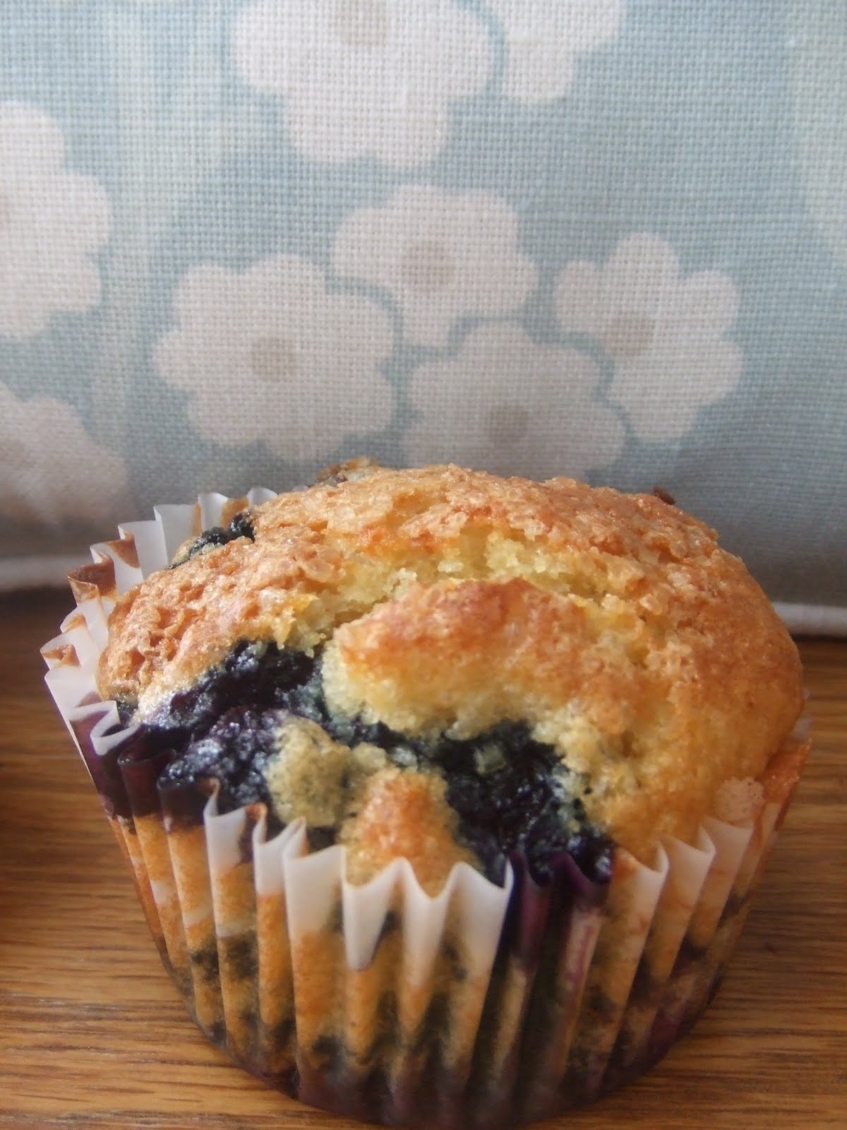 Teen Baker The Blueberry Muffin