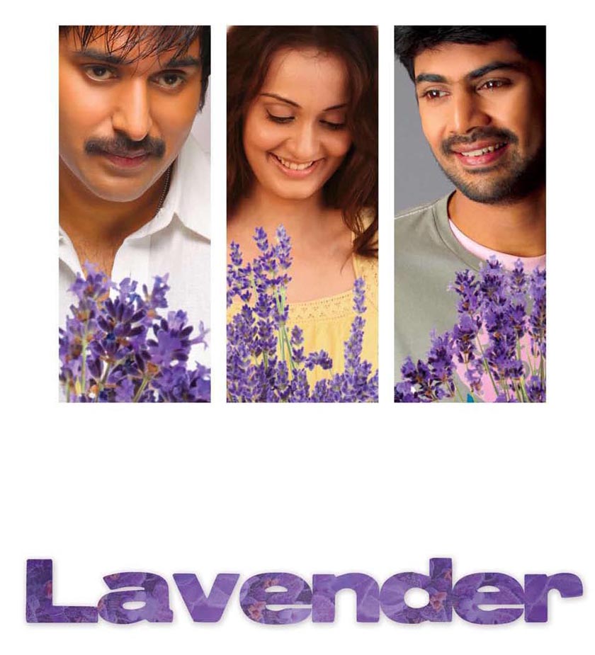 LAVENDER