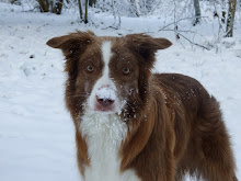 Skovgaards Bonnie