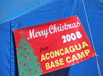 Aconcagua Trip (Jan. 2009)