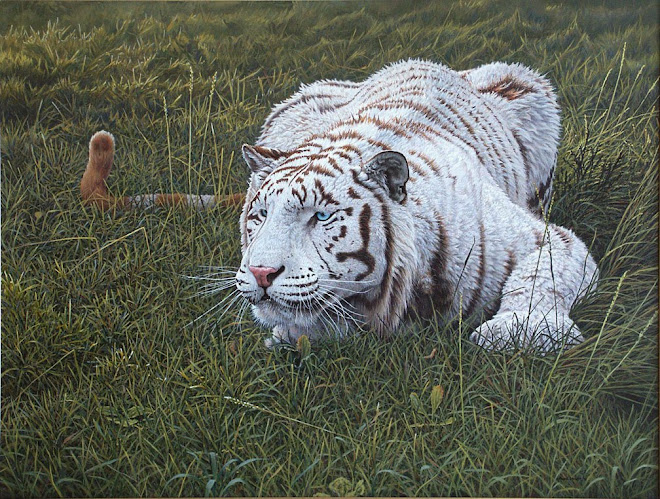 White Tiger